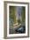 Morning Room with Orchid (Oil on Canvas)-Susan Ryder-Framed Giclee Print