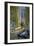 Morning Room with Orchid (Oil on Canvas)-Susan Ryder-Framed Giclee Print