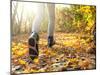 Morning Run in the Autumn Forest-Krivosheev Vitaly-Mounted Photographic Print