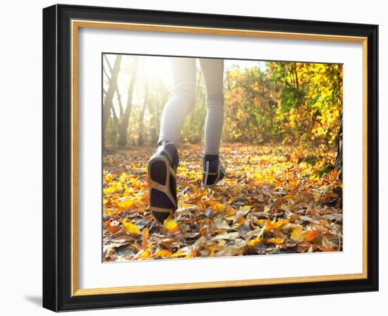 Morning Run in the Autumn Forest-Krivosheev Vitaly-Framed Photographic Print