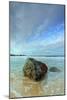 Morning Seascape at Garrapata Beach-Vincent James-Mounted Photographic Print