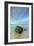 Morning Seascape at Garrapata Beach-Vincent James-Framed Photographic Print