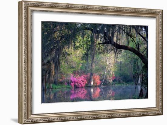 Morning Serenity-H J Herrera-Framed Photographic Print