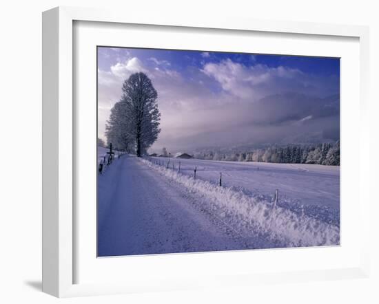 Morning snow on road, Kitzbuhel, Tirol, Austria-Walter Bibikow-Framed Photographic Print