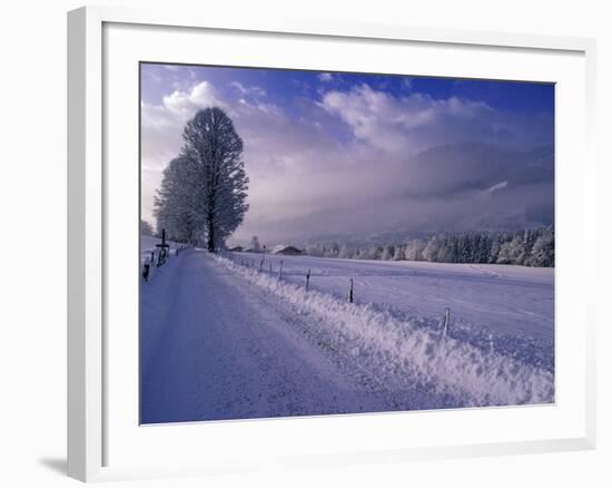 Morning snow on road, Kitzbuhel, Tirol, Austria-Walter Bibikow-Framed Photographic Print