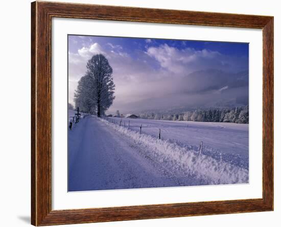 Morning snow on road, Kitzbuhel, Tirol, Austria-Walter Bibikow-Framed Photographic Print