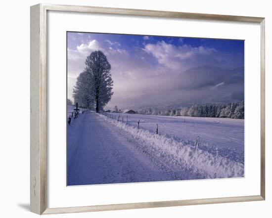 Morning snow on road, Kitzbuhel, Tirol, Austria-Walter Bibikow-Framed Photographic Print