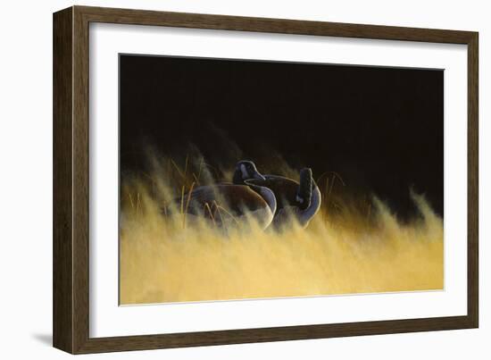 Morning Solitude-Michael Budden-Framed Giclee Print