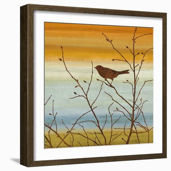 Morning Song II-Chris Donovan-Framed Art Print