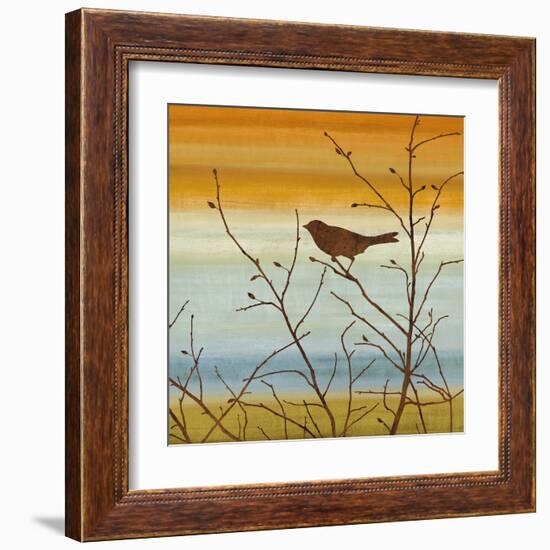 Morning Song II-Chris Donovan-Framed Art Print