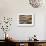 Morning Stillness-Jim Nilsen-Framed Giclee Print displayed on a wall