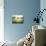 Morning Stillness-David Marty-Premium Giclee Print displayed on a wall