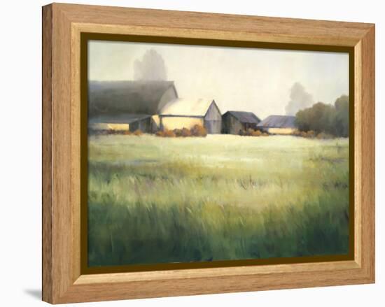 Morning Stillness-David Marty-Framed Premier Image Canvas