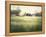 Morning Stillness-David Marty-Framed Premier Image Canvas