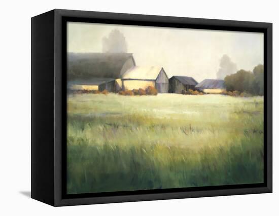 Morning Stillness-David Marty-Framed Premier Image Canvas