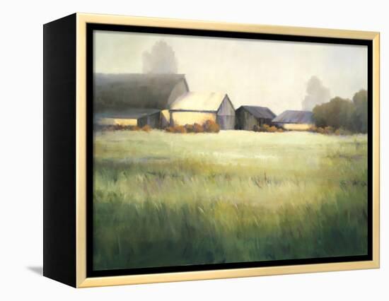 Morning Stillness-David Marty-Framed Premier Image Canvas