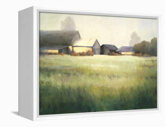 Morning Stillness-David Marty-Framed Premier Image Canvas