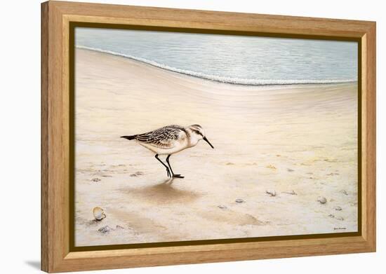 Morning Stroll-Bruce Nawrocke-Framed Stretched Canvas