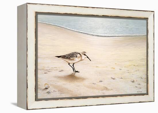 Morning Stroll-Bruce Nawrocke-Framed Stretched Canvas