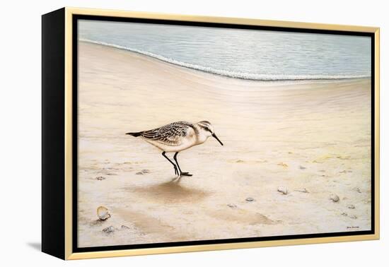 Morning Stroll-Bruce Nawrocke-Framed Stretched Canvas