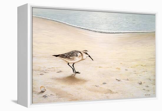 Morning Stroll-Bruce Nawrocke-Framed Stretched Canvas