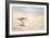 Morning Stroll-Bruce Nawrocke-Framed Art Print