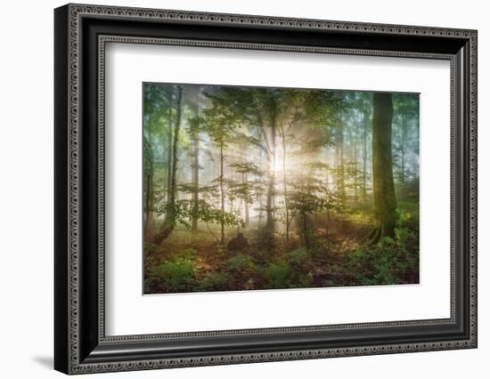 morning sun-Burger Jochen-Framed Photographic Print