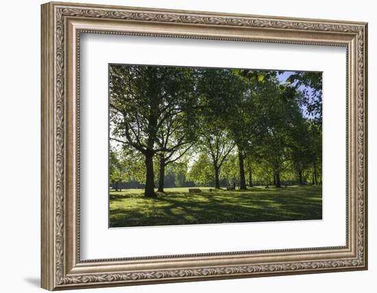 Morning Sunlight, St. James Park, London, England, United Kingdom-James Emmerson-Framed Photographic Print