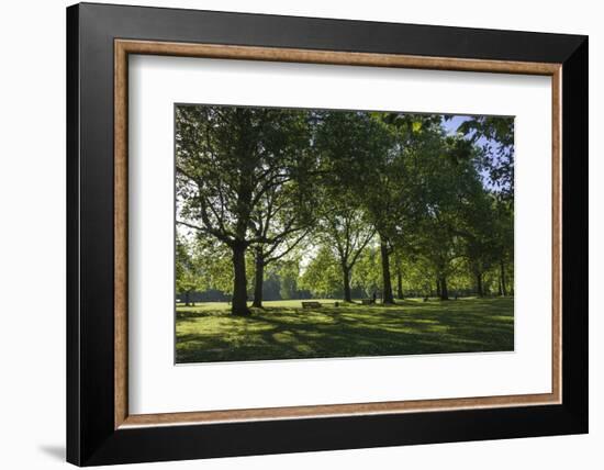 Morning Sunlight, St. James Park, London, England, United Kingdom-James Emmerson-Framed Photographic Print