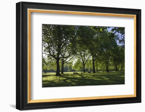 Morning Sunlight, St. James Park, London, England, United Kingdom-James Emmerson-Framed Photographic Print