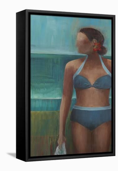 Morning Swim-Terri Burris-Framed Stretched Canvas