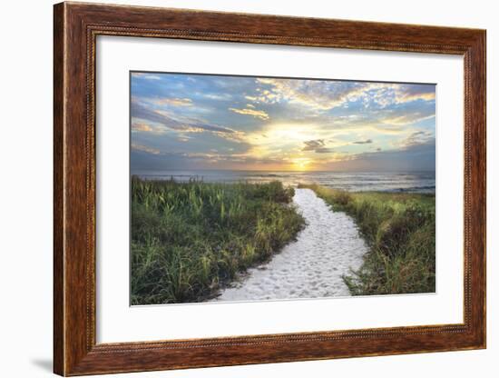 Morning Trail-Celebrate Life Gallery-Framed Giclee Print