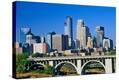Stretched Canvas Print