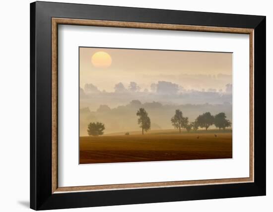 Morning View-Piotr Krol (Bax)-Framed Photographic Print