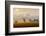 Morning View-Piotr Krol (Bax)-Framed Photographic Print