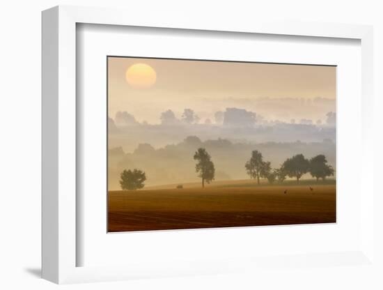 Morning View-Piotr Krol (Bax)-Framed Photographic Print
