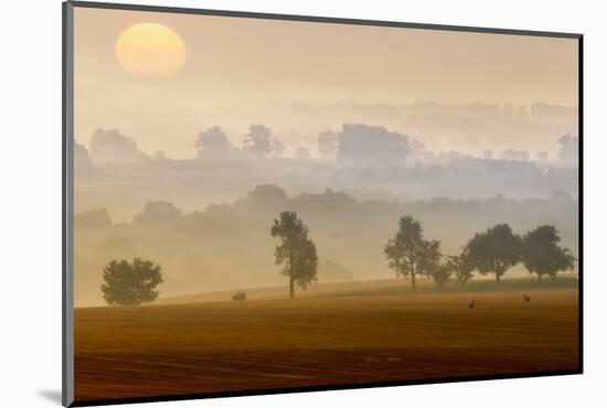 Morning View-Piotr Krol (Bax)-Mounted Photographic Print