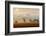 Morning View-Piotr Krol (Bax)-Framed Photographic Print