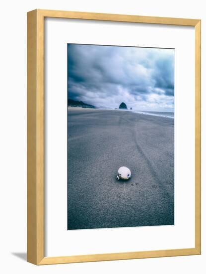 Morning Walk at Cannon Beach, Oregon Coast-Vincent James-Framed Photographic Print