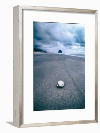 Morning Walk at Cannon Beach, Oregon Coast-Vincent James-Framed Photographic Print