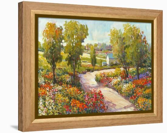 Morning Walk I-Tim O'toole-Framed Stretched Canvas