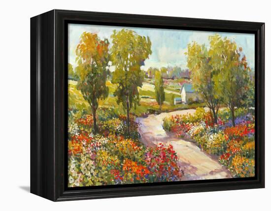 Morning Walk I-Tim O'toole-Framed Stretched Canvas