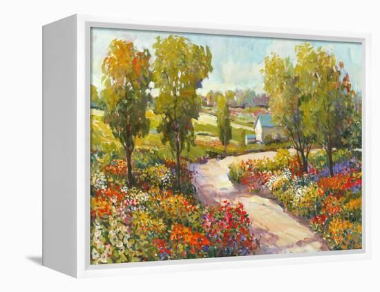 Morning Walk I-Tim O'toole-Framed Stretched Canvas