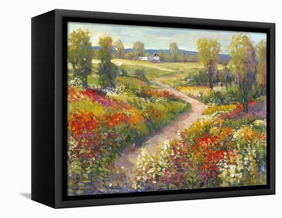 Morning Walk II-Tim O'toole-Framed Stretched Canvas