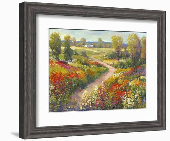 Morning Walk II-Tim O'toole-Framed Art Print