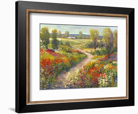 Morning Walk II-Tim O'toole-Framed Art Print