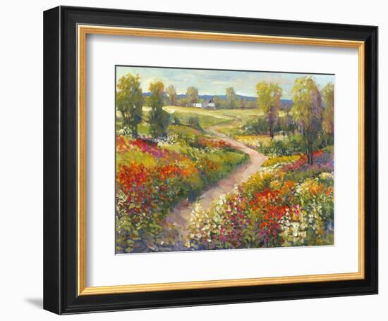 Morning Walk II-Tim O'toole-Framed Art Print