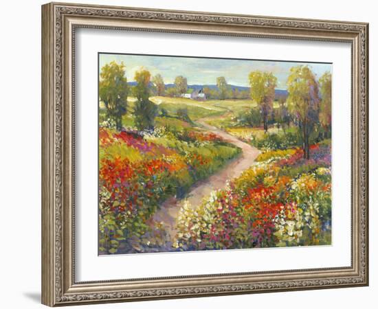 Morning Walk II-Tim O'toole-Framed Art Print