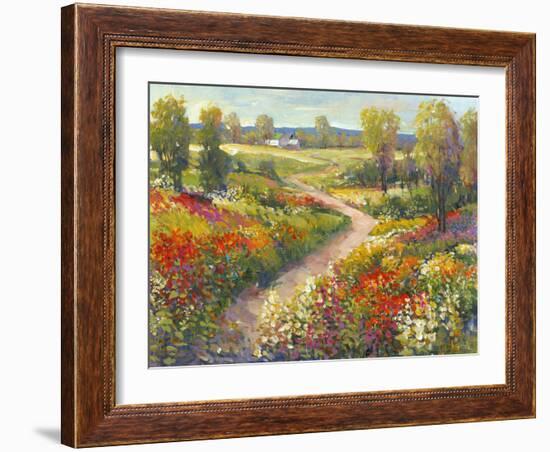 Morning Walk II-Tim O'toole-Framed Art Print