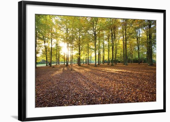 Morning Walk-Joseph Eta-Framed Giclee Print